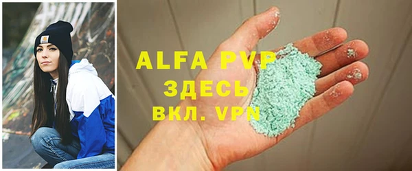 spice Богородицк