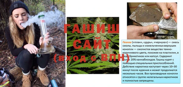 spice Богородицк