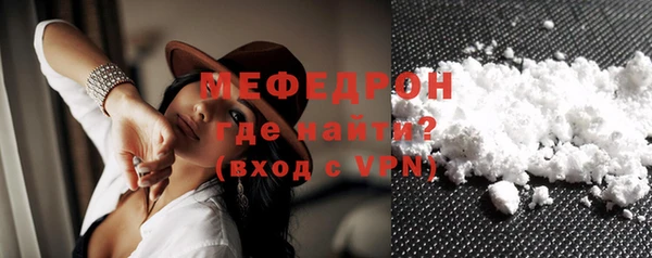 spice Богородицк
