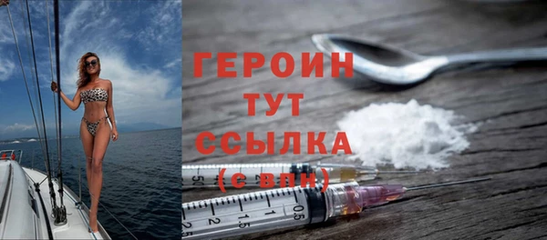 spice Богородицк